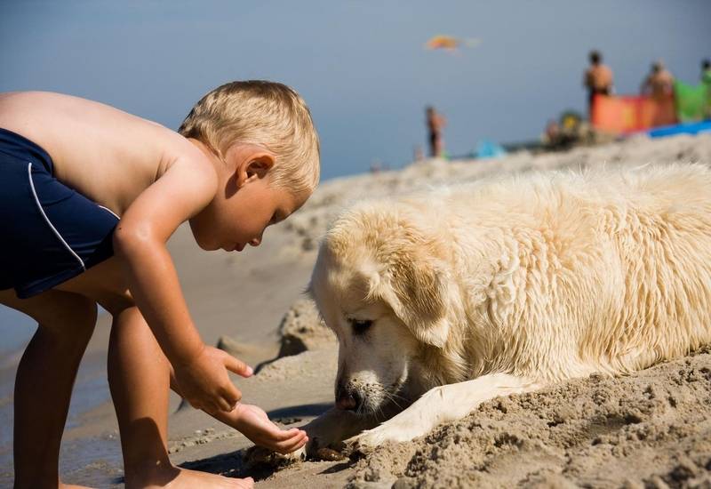 Attività spiaggia