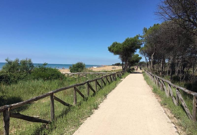 Faro