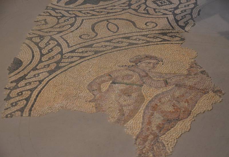 Musei